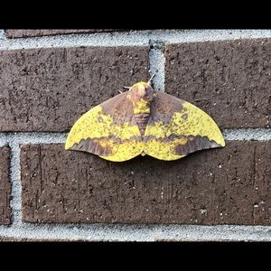 Meet your Posher, Matt